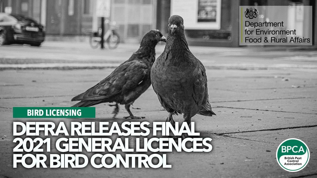 defra-releases-final-bird-licences defra-releases-final-bird-licences